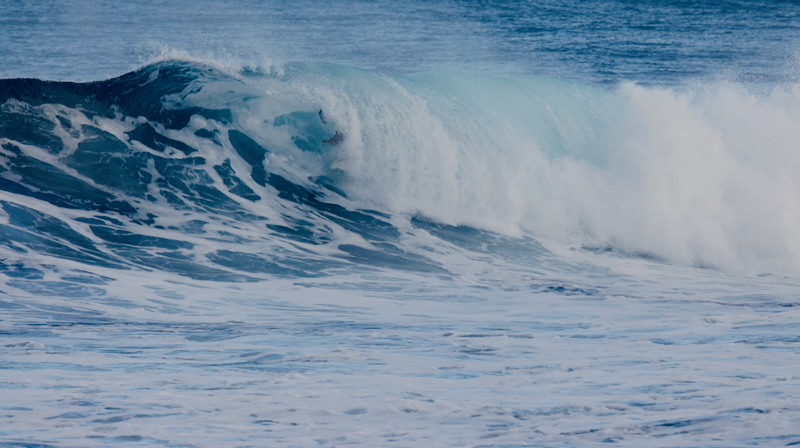 スクリーンショット 2025-11-24 12.41.08