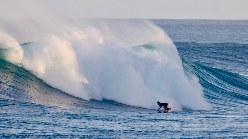 スクリーンショット 2025-11-28 6.11.55