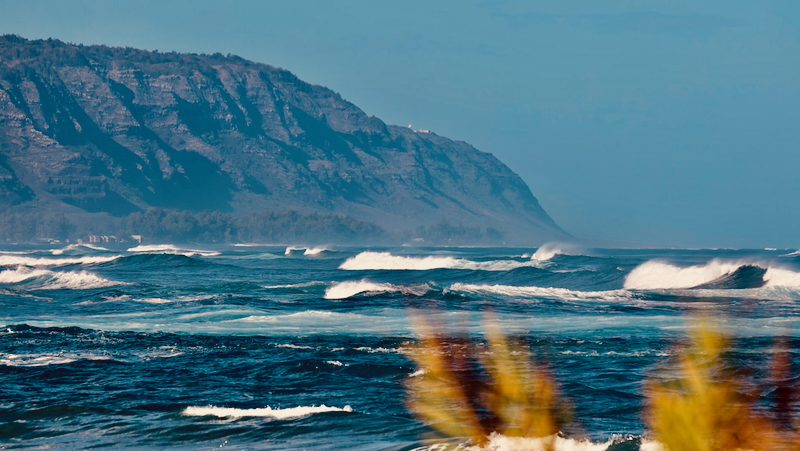 スクリーンショット 2025-11-23 17.57.53