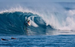 スクリーンショット 2025-11-27 4.12.45