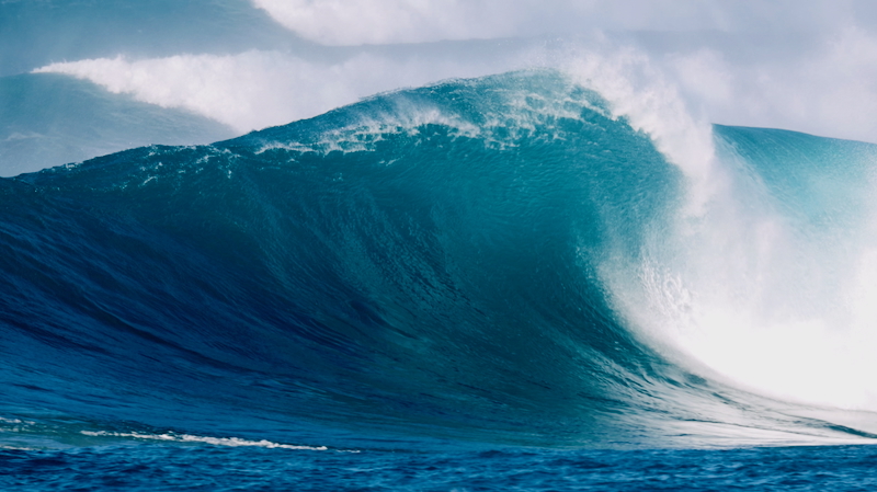 スクリーンショット 2025-11-28 5.59.00