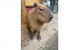 名称未設定のデザイン