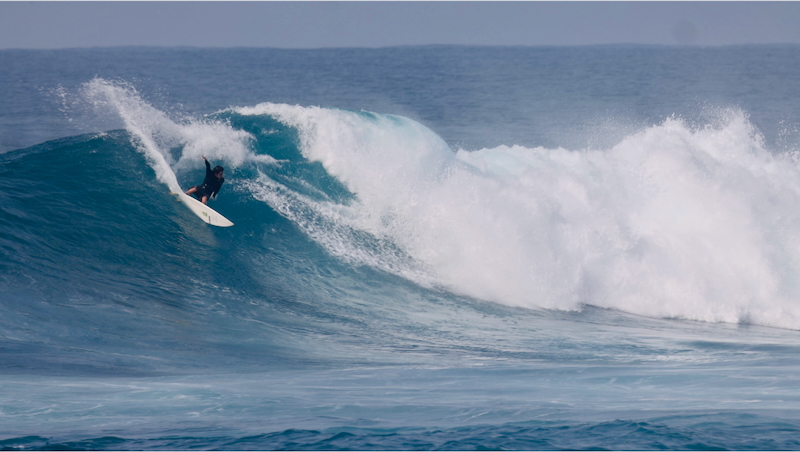 スクリーンショット 2025-11-30 3.39.54