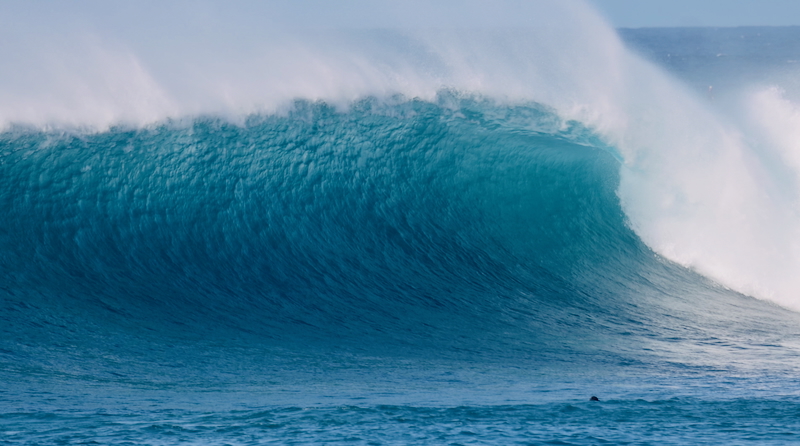 スクリーンショット 2025-11-23 4.00.17