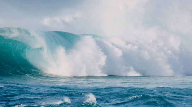 スクリーンショット 2025-11-23 4.18.34