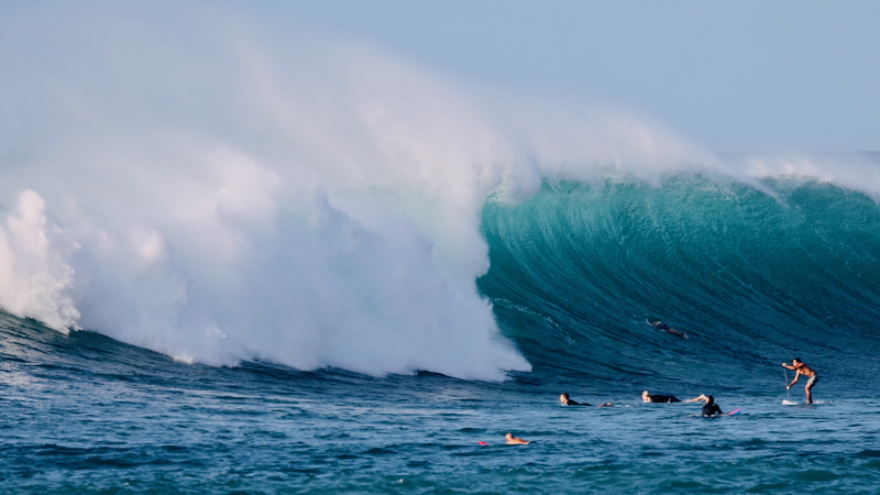 スクリーンショット 2025-11-23 4.20.49