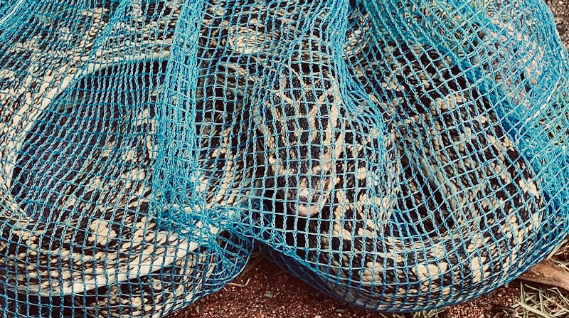 スクリーンショット 2025-11-13 14.55.07