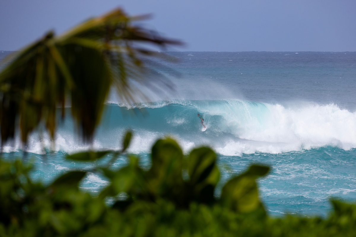 Kuio_Young_25HTASP_9832_heff