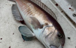 Photo_25-10-20-09-29-30.444-e1760920320398