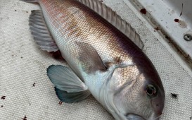 Photo_25-10-20-09-29-30.444-e1760920320398