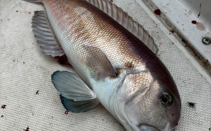 Photo_25-10-20-09-29-30.444-e1760920320398