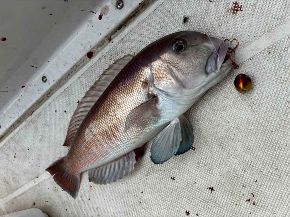 Photo_25-10-20-09-29-30.444-e1760920320398