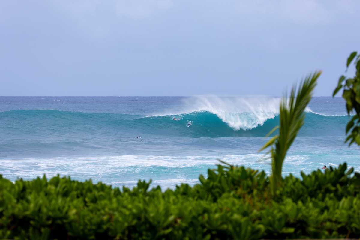 Sunset_Lineup_25HTASP_9633_heff