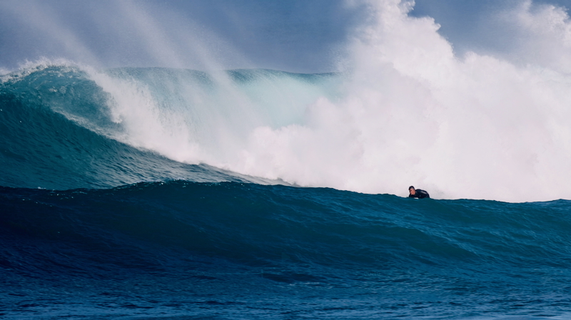 スクリーンショット 2025-11-24 12.51.00