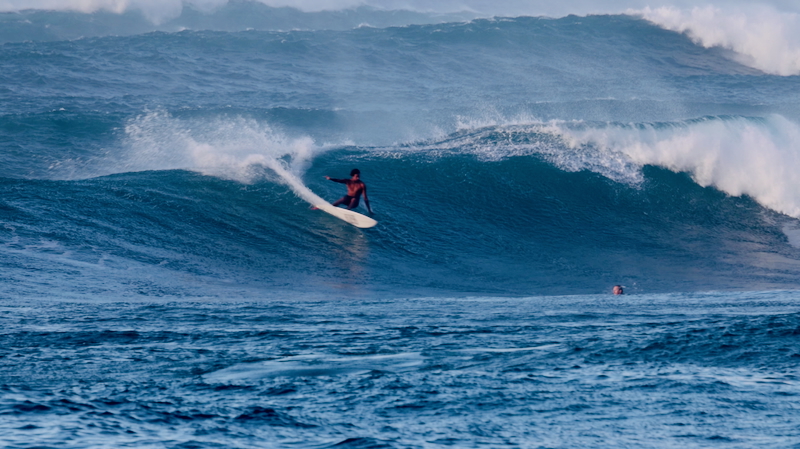 スクリーンショット 2025-11-23 4.27.32