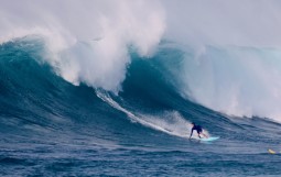 スクリーンショット 2025-11-30 3.41.50