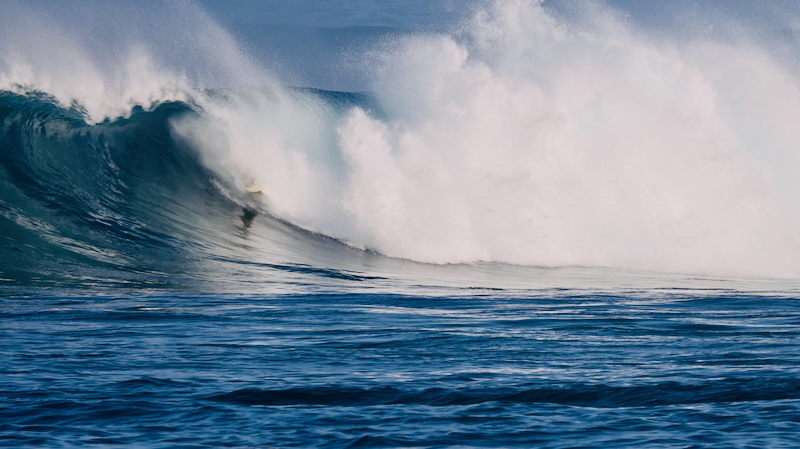 スクリーンショット 2025-11-27 4.14.33