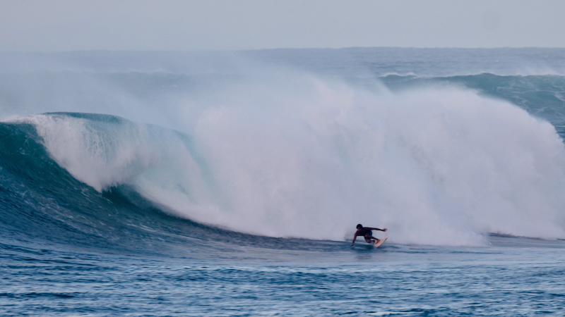 スクリーンショット 2025-11-23 4.29.46