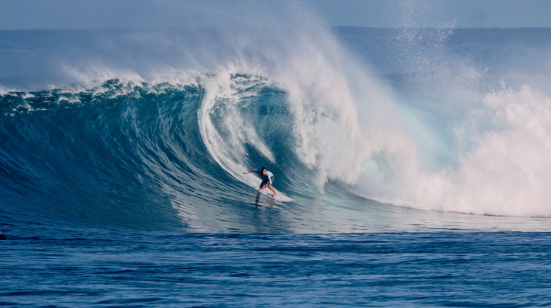 スクリーンショット 2025-11-27 4.10.06