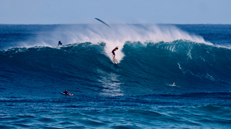 スクリーンショット 2025-11-24 12.44.46