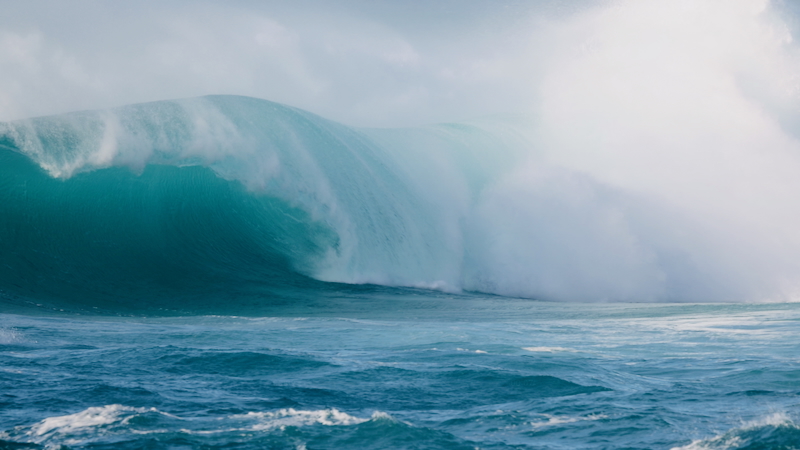 スクリーンショット 2025-11-23 4.18.17