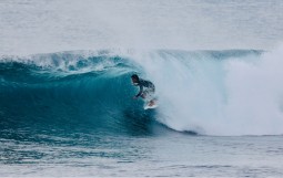 スクリーンショット 2025-11-13 15.30.45