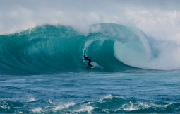 スクリーンショット 2025-11-23 4.17.14