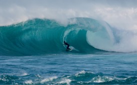 スクリーンショット 2025-11-23 4.17.14