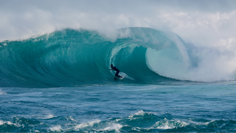 スクリーンショット 2025-11-23 4.17.14