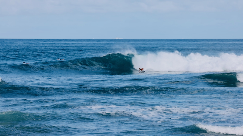 スクリーンショット 2025-11-23 17.59.09