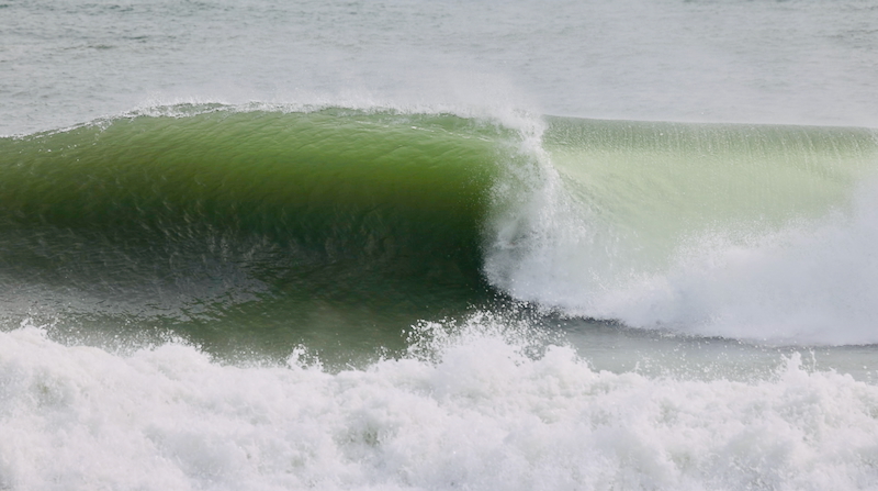 スクリーンショット 2025-11-06 10.38.14