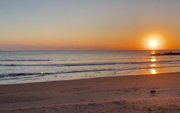 スクリーンショット 2025-11-12 173403