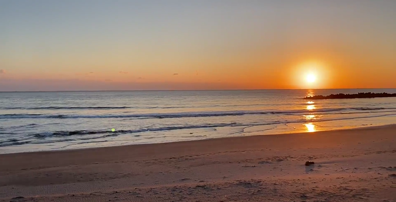 スクリーンショット 2025-11-12 173403