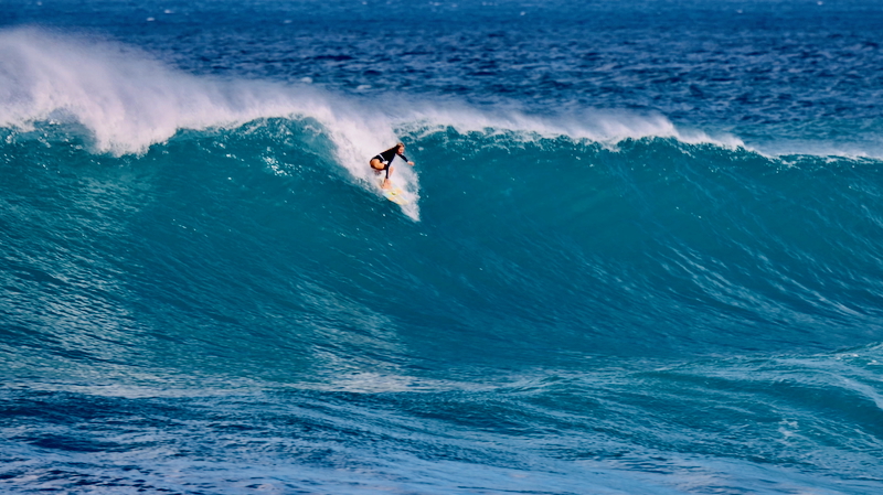 スクリーンショット 2025-11-24 12.49.29