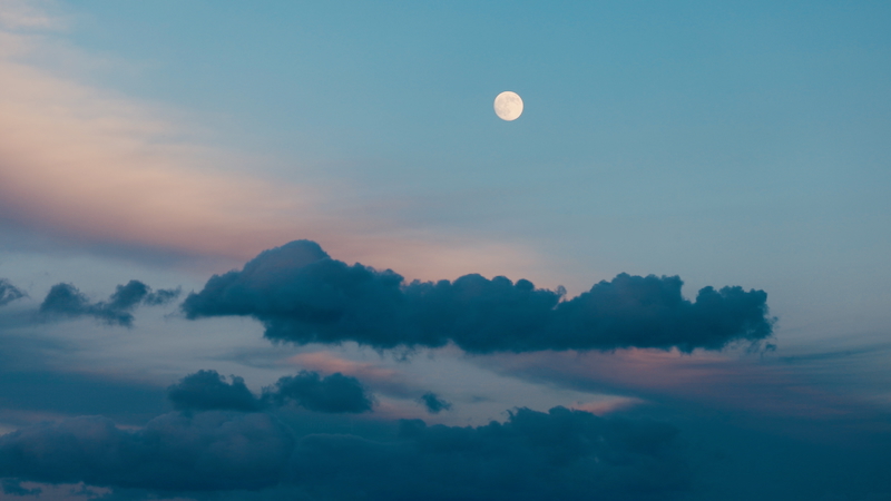 スクリーンショット 2025-11-14 13.40.11