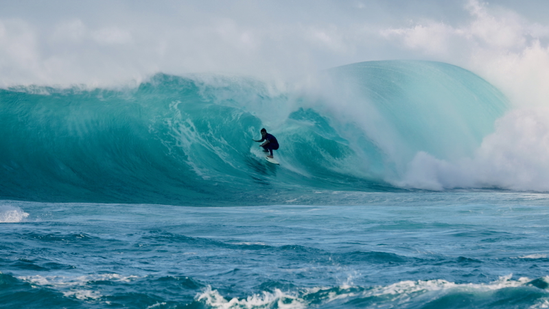 スクリーンショット 2025-11-23 4.17.45