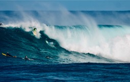 スクリーンショット 2025-11-24 12.47.19