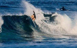 スクリーンショット 2025-12-08 14.52.44