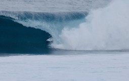 スクリーンショット 2025-12-17 12.24.15