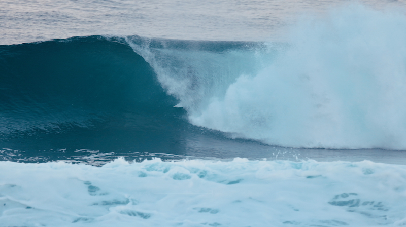 スクリーンショット 2025-12-19 12.04.37