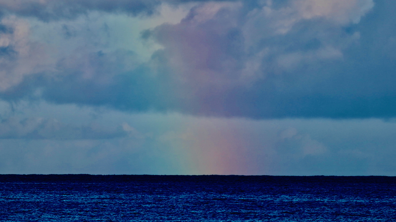 スクリーンショット 2025-12-08 14.46.52