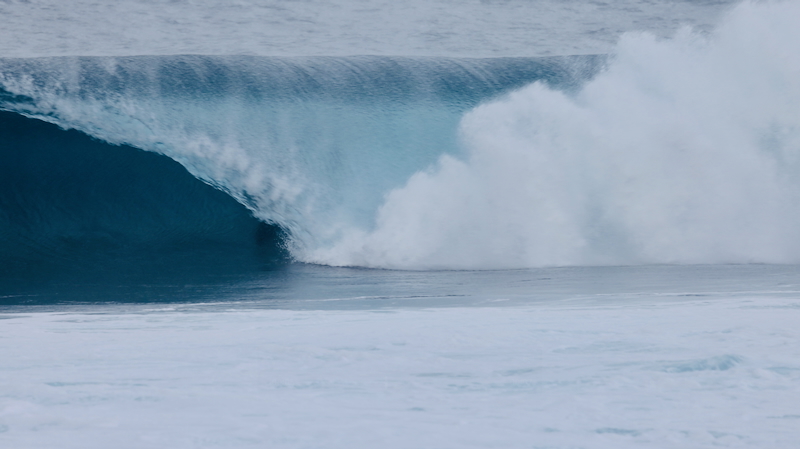 スクリーンショット 2025-12-17 12.23.46