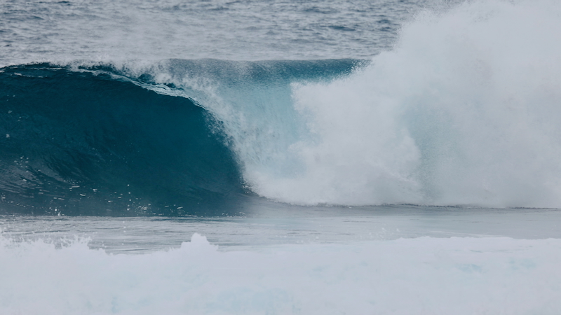 スクリーンショット 2025-12-17 12.28.09