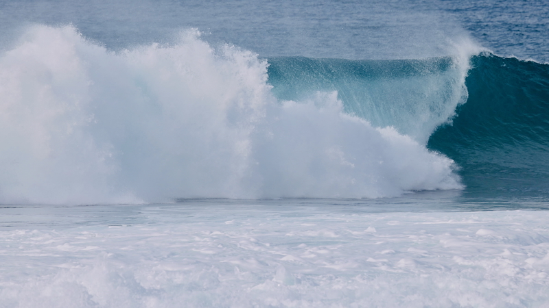スクリーンショット 2025-12-30 4.00.49