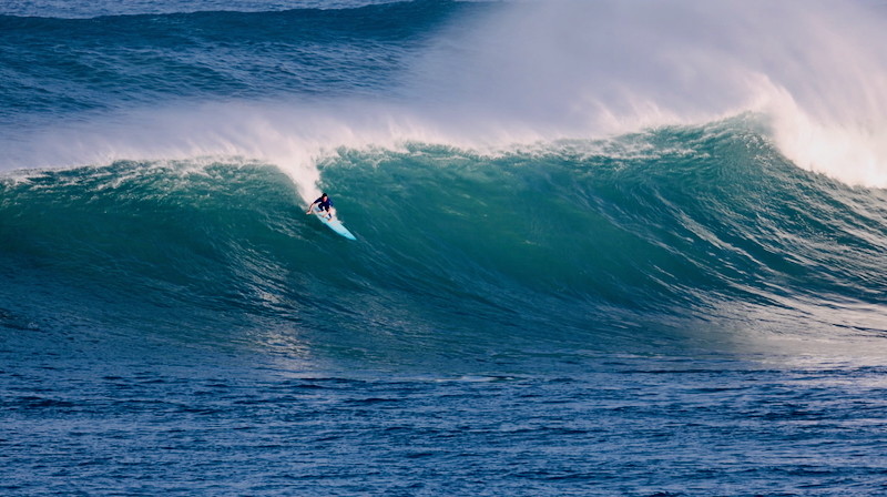 スクリーンショット 2025-12-01 4.19.44