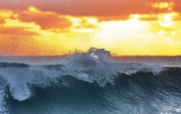 スクリーンショット 2025-12-17 9.55.47