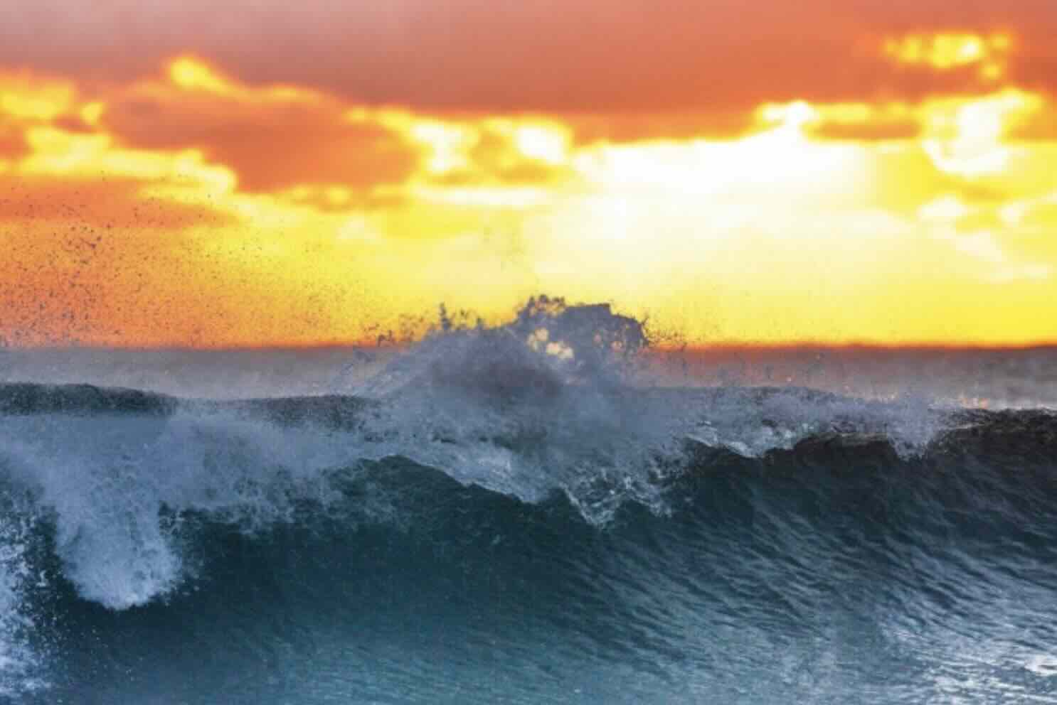 スクリーンショット 2025-12-17 9.55.47