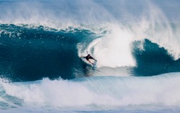 スクリーンショット 2025-12-22 16.39.31 (1)