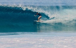 スクリーンショット 2025-12-28 16.25.45 (1)