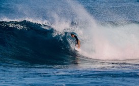 スクリーンショット 2025-12-13 12.37.28